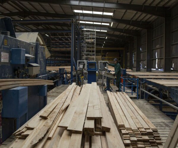 Lumber Prices: Tariffs Combine With Tight Supply for Sharp Increases 