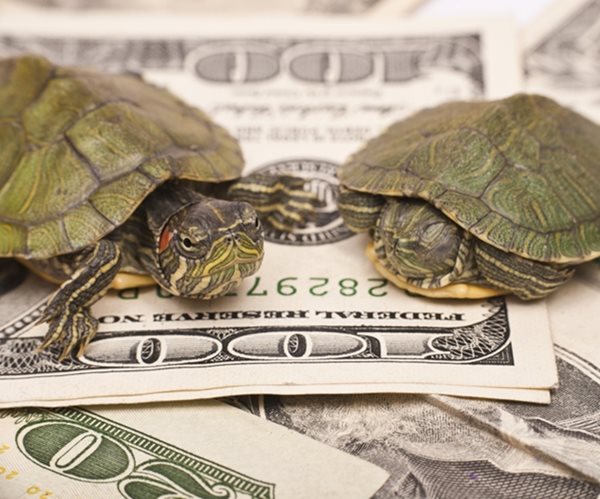 Last Jobs Report Before Election Is Set to Show Slowing Recovery