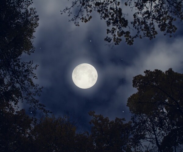 full moon at night
