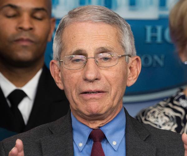 fauci at a press conference