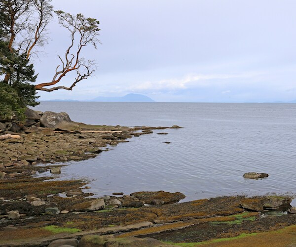 14th Human Foot Washes Ashore in Canada