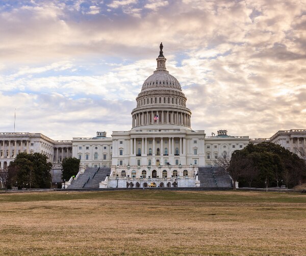 Democrats' Big Package: What Remains and What's Out?