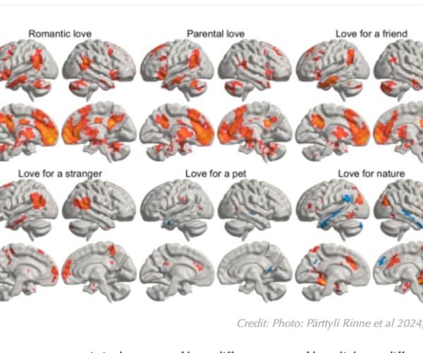 images highlighting areas of brain activated for different types of love