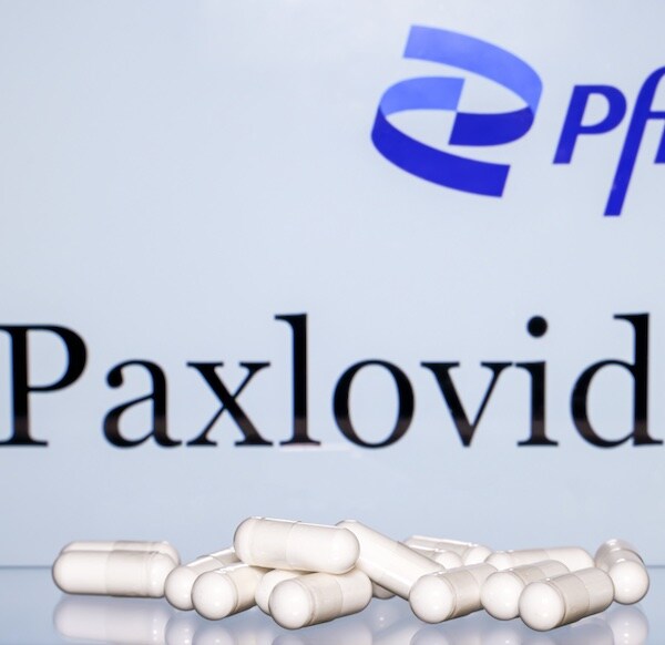 white pills arranged on a light blue background with the name plaxovid above them