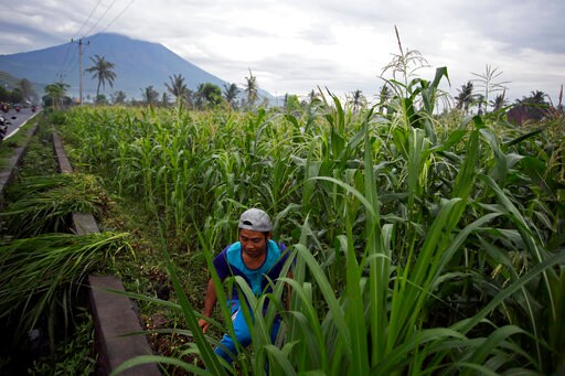 Bali Volcano Grounds 'Stranger Things' Star Brown on Island