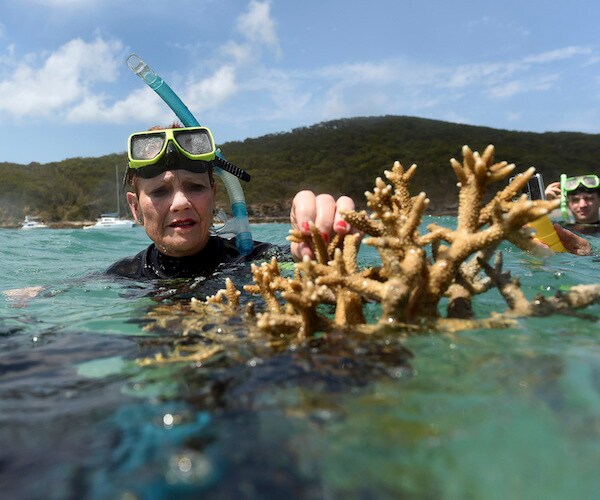 Large Sections of Australia's Great Reef Are Now Dead, Scientists Find