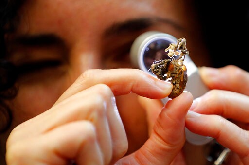 Royal Botanic Garden Seeks Respect for World's Fungus