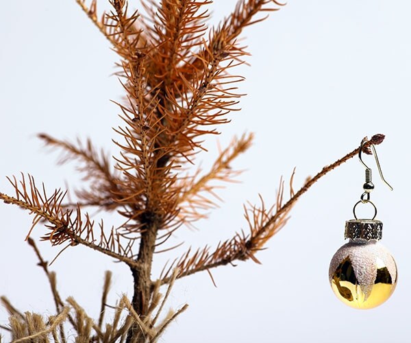 Costco Christmas Tree Successfully Returned Because It Died