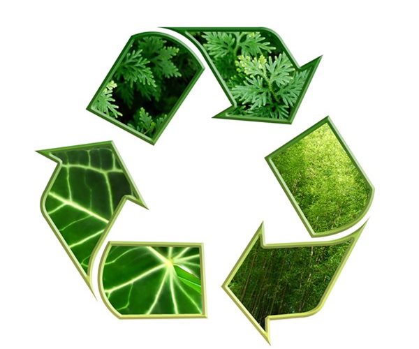 Lauren Fix, The Car Coach: Reviving Dead Batteries - The Future of EV Recycling