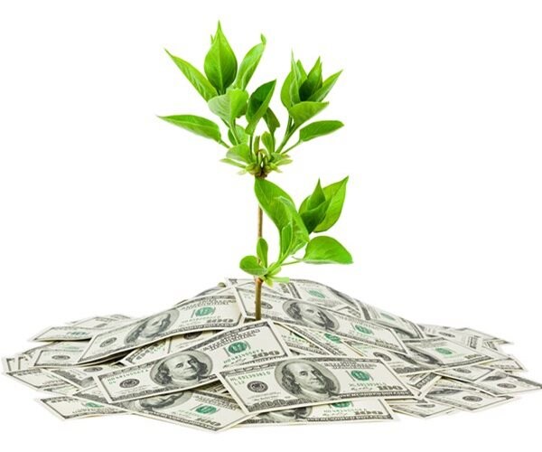 Companies With Cannabis-Based Drugs Eye IPOs