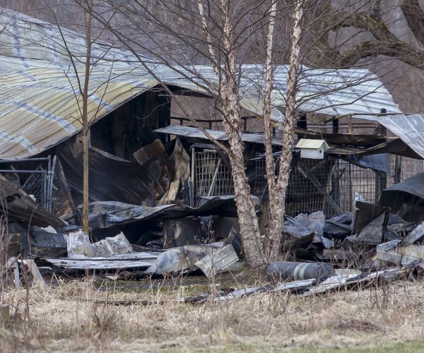 Michigan Kennel Fire Kills at Least 30 Dogs, Devastating Owners