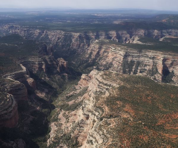 Trump Can Keep Legal Reasons for Shrinking Monuments Secret