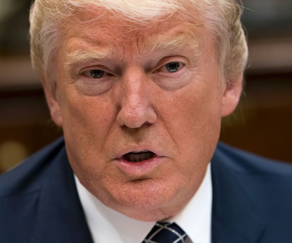 Trump: All Lawyers 'Deflated' by FBI Raid on Michael Cohen