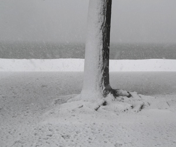 No Easter Break for Cold, Wet Weather