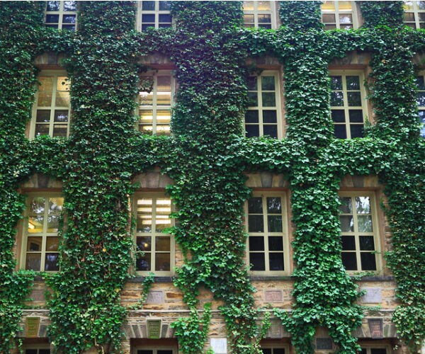 Pols See Colleges as High-Tech, Startup Incubators Only 