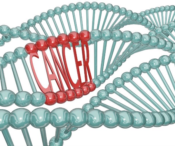Gene Linked to Half of Cancers Holds Key to New Therapies