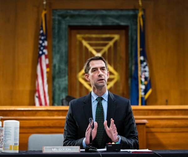 tom cotton on capitol hill