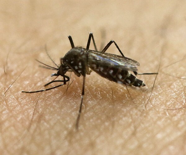 Zika Virus Brings Hillary and GOP Mayor Together