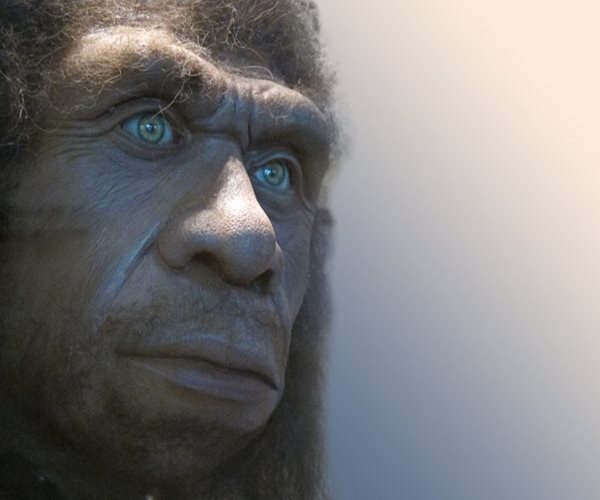 Neanderthals Used 'Aspirin' for Tooth Pain: Study