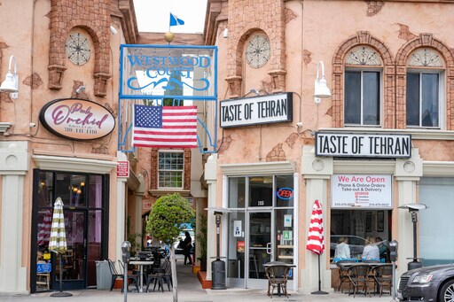 From London to Los Angeles, Many Iranians Overseas Cheer, and Fear, after President's Death