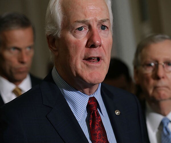 Senate Republicans Eye Immigration Reform Bill for 2018