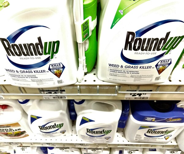 bottles of roundup weed killer