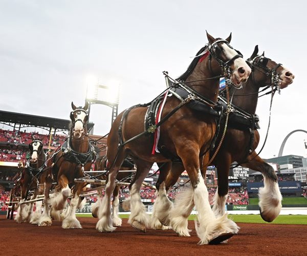 Super Bowl LX Ads Feature AI, Weight-Loss Drugs, Celebs