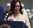 Harris Releases Strategy to Tackle Migration's Root Causes