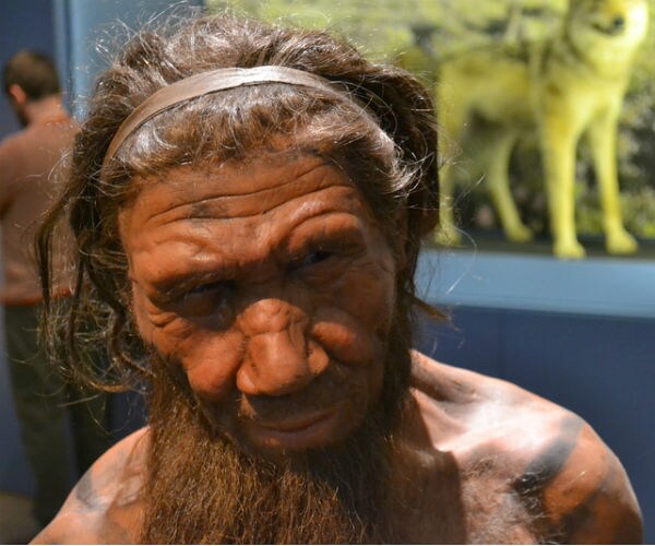Neanderthal 'Brain' Model Constructed by Scientists