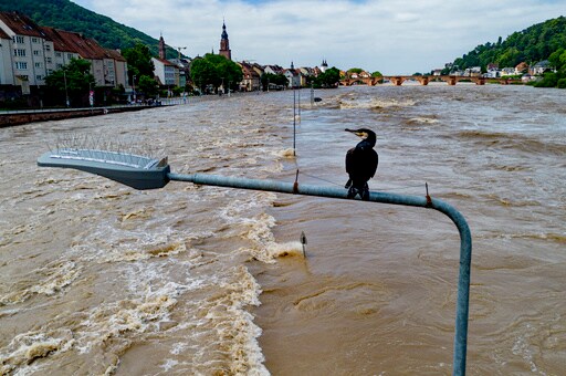 4 People Have Died in Floods in Southern Germany. The Situation Remains Tense
