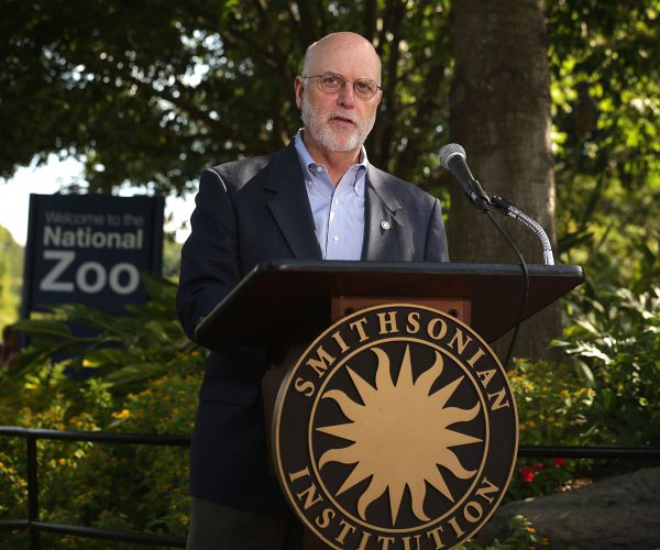 National Zoo's Panda Cub Dies; Smaller Twin Gone After 3 and a Half Days