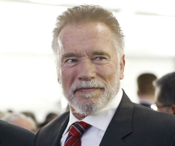 Arnold Schwarzenegger Assaulted During Event in South Africa