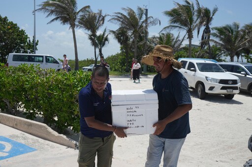 Mexico Evacuates Sea Turtle Eggs from Beaches as Hurricane Beryl Heads to the Yucatan Peninsula