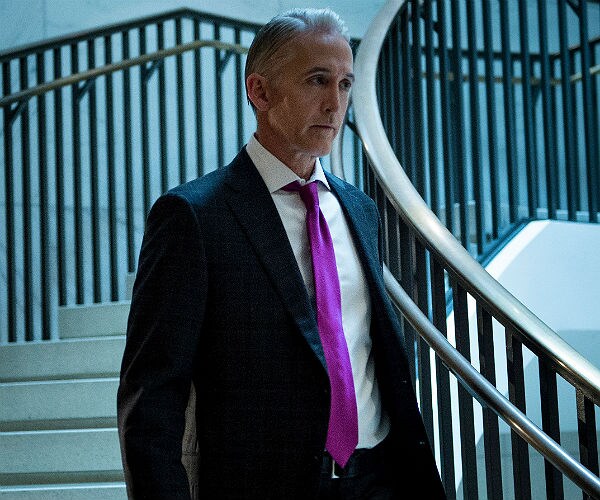 Rep. Gowdy: I Was Assigned to Intel Panel for Its 'Apolitical' Rep