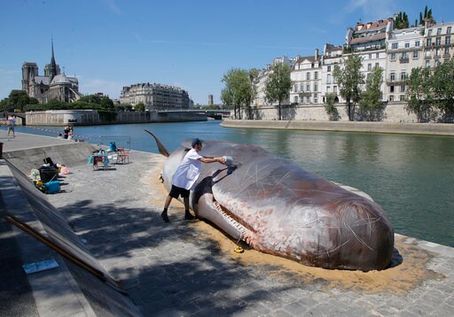 Is That Really a Beached Whale beneath Paris' Notre Dame?