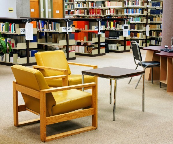 public or school library 