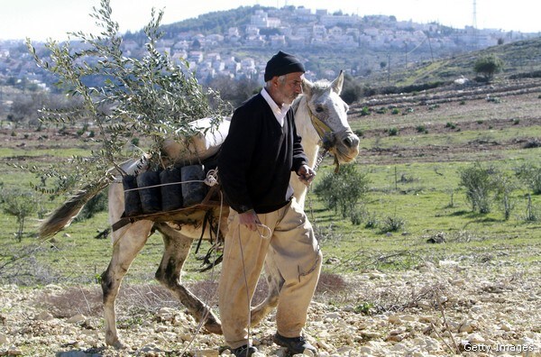 Report: Israel Appropriates Land in West Bank