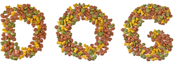 Dog Pet Health: Foods You Can Sneak to Your Dog Without Making Him Sick