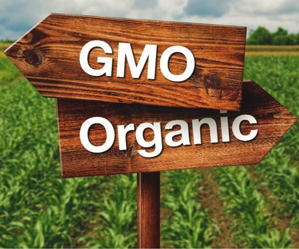 Senate Backs Bill to Label GMO Foods