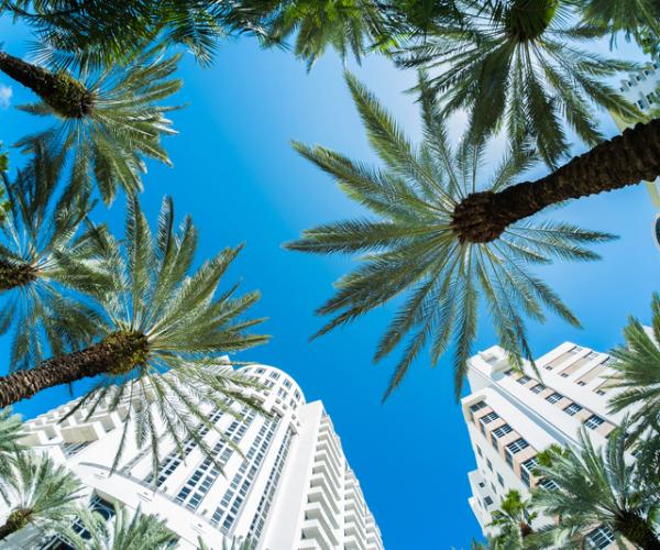 Million-Dollar Condo Contracts Jump 300% in Palm Beach County