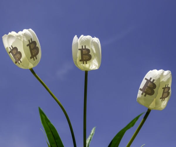 Seth Klarman: Cryptocurrencies Are Like Dutch Tulip Mania