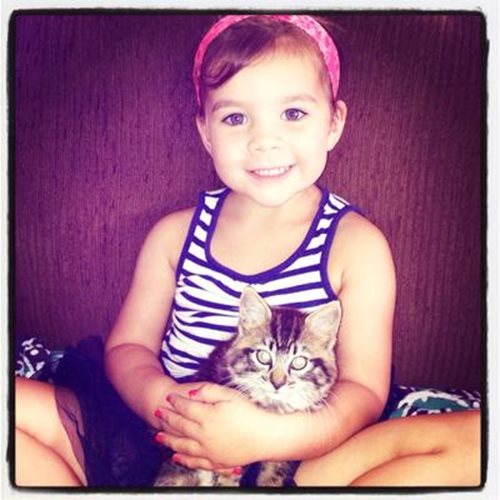 Hawaii Girl, 3, Dies after Dental Procedure