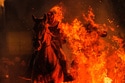 Horses Leap through Flames and Pets Go to Church in Spanish Animal Rituals Honoring St Anthony