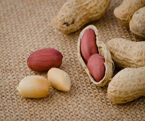 Study: Skin Patch Could Help Kids with Peanut Allergies
