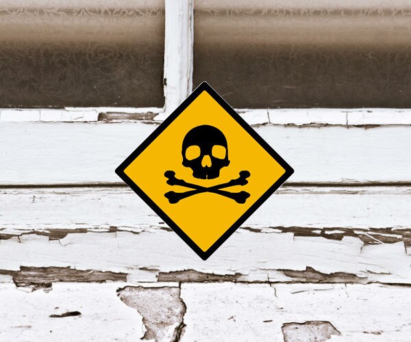 Senators Demand Answers From Army on Lead Poisoning