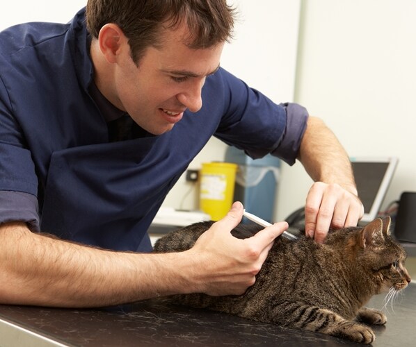 The Recession-Proof Industry That Few Investors Know