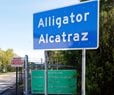 Environmental Groups: Close 'Alligator Alcatraz'