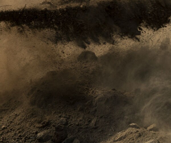 photo shows dirt and holes for planting from a garden