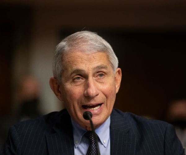 dr anthony fauci testifying before a us senate committee 