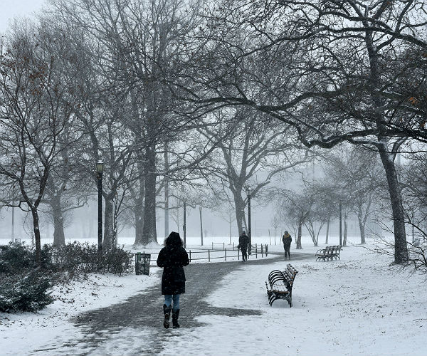 Snowstorm Forces School Closures Across NY